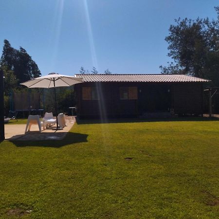 Villa Casa Do Vale De Gondra Castelo de Paiva Exterior foto